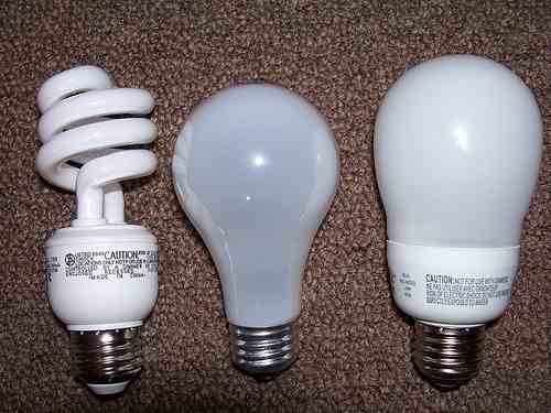 Your Guide to Energy-Efficient Light Bulbs